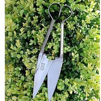 RHS Topiary Shears