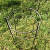 Rod & Ring Plant Support - 100cm wide