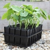 Rootrainers 32 Cell