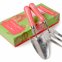 Rosa Chinensis Gifts - Trowel & Fork,  Secateurs,  Gloves