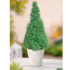Rosemary & Lavender Pyramid Trees