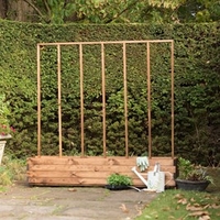 RSPB Bean Planter
