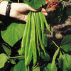Runner Bean Red Rum Seeds