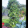 Runner Bean Tower