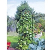Runner Bean Tower D-0.75M H-2.15M - Matt Black