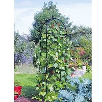 Runner Bean Tower D-0.75M H-2.15M - Matt Black