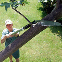 Sabre Tooth Saw