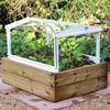 Salad Cloche - Antique Ivory Frame