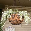 Scroll & Ivy Hanging Basket