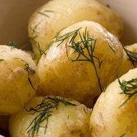 Seed Potatoes - Accord 1kg