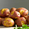 Seed Potatoes - Apache 1kg