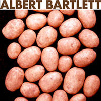 Seed Potatoes - Innovator 1kg
