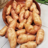 Seed Potatoes - Pink Fir Apple 1kg
