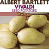 Seed Potatoes - Vivaldi 1kg (Late Season)