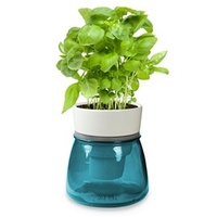 Self Watering Herb Pot - Blue