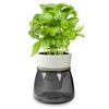Self Watering Herb Pot - Grey
