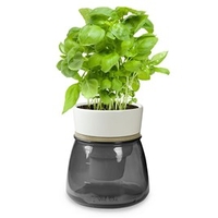 Self Watering Herb Pot - Grey