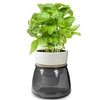 Self Watering Herb Pots
