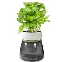 Self Watering Herb Pots