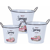 Set of Three Spring Planters - Car Design