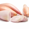 Shallot Bulbs - Longor