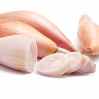 Shallot Bulbs - Longor