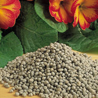 Slow Release Fertiliser and Water Storing Crystals