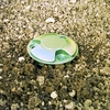 Slug & Snail Traps