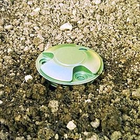 Slug and Snail Traps