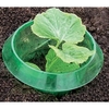Slug Collars - Pack of 16