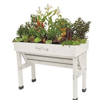 Small Wallhugger white wash