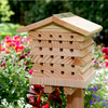 Solitary Bee Hive