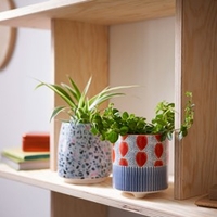 Spot Planter Duo