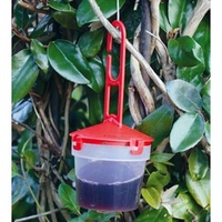 Spotted Wing Drosophila Trap - Refill