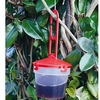 Spotted Wing Drosophila Trap / Refill