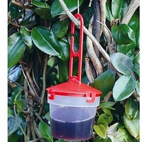 Spotted Wing Drosophila Trap / Refill