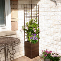 Square Rattan Planter with Trellis & Irrigation System