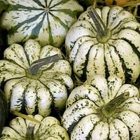 Squash and Pumpkin (Organic) Seeds - Sweet Dumpling