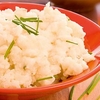 Squash Plants - Mashed Potatoes