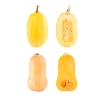 Squash Plants - Spaghetti
