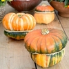 Squash Seeds - Fungo