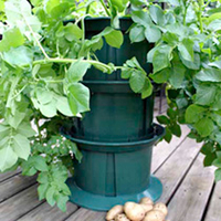Stacking Potato Planter - BUY 2 SAVE L8.00!