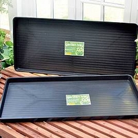 Staging Trays