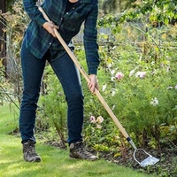 Stainless Steel Dutch Hoe