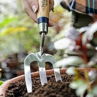 Stainless Steel Hand Fork