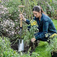 Stainless Steel Rabbiting Spade