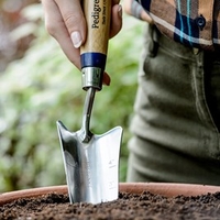 Stainless Steel Transplanting Trowel