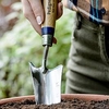 Stainless Steel Transplanting Trowel