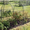 Steel Fruit Cage