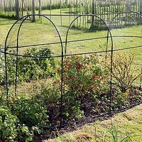 Steel Fruit Cage